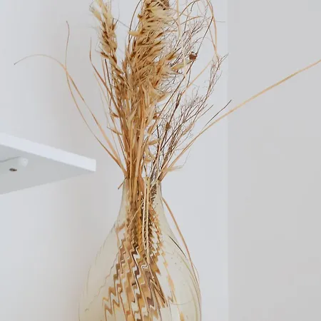 Elegant Quartier Montmartre Paris